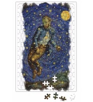 Van Gogh Never Saw Puzzle 240 Parça Yapboz