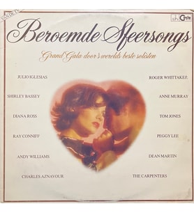 Beroemde Sfeersongs Double LP Plak (Karışık)