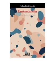 Enstantaneler