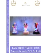#GeceLambası LED Işıklı Romantik Dekoratif Gece Lambası Estetik Müzikli Cam Fanus İçinde Gül Buketi