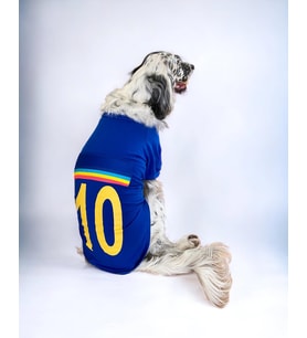 Uno Blue Büyük Irk Köpekler İçin Tişört
