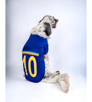 Uno Blue Büyük Irk Köpekler İçin Tişört