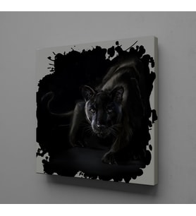SİYAH ASLAN KANVAS TABLO 170x170cm