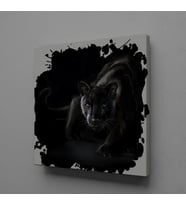 SİYAH ASLAN KANVAS TABLO 170x170cm