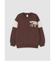 LCW Kids Kahverengi Renk Bloklu Erkek Çocuk Kalın Sweatshirt