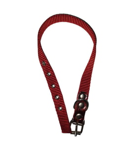 Lovely Köpek Boyun Tasma 1,5cm-40cm KIRMIZI
