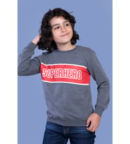 Toontoy Erkek Çocuk Baskılı Sweatshirt (Antrasit Melanj)