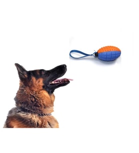 River World Köpekler İçin Oyun Topu Diş Kaşıma İçin