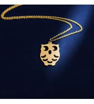 Kişiye Özel 925 Ayar Gümüş Baykuş Kolye (Gold)