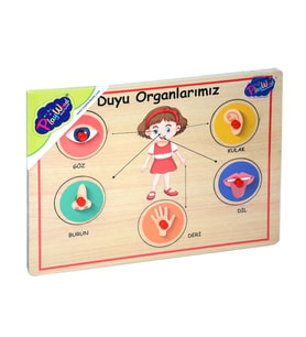 Mulvxurg  Urg02 166/167 Onyıl, Ahşap Tutmalı Organlar (Mulvix)