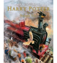 Harry Potter ve Felsefe Taşı - Resimli Özel Baskı