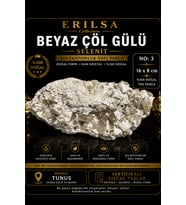 Sertifikalı Beyaz Çöl Gülü Selenit Taşı Kütle - 16x8 cm Koleksiyonluk Doğal Tek Parça