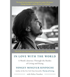 In Love With The World: A Monk'S Journey Through The Bardos Of Living And Dying