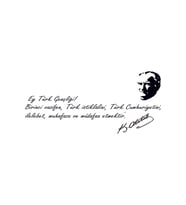 Gençliğe Hitabe Duvar Sticker