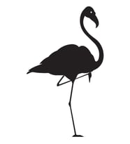 Folyo Sticker Flamingo 80cm Uzunluk (Karışık)