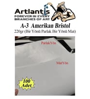 A3 Amerikan Bristol Karton 29.7X42 cm 100 Adet 220 gr Bir Tarafı Parlak Bir Tarafı Mat Kağıt Biristol Karton (Beyaz)