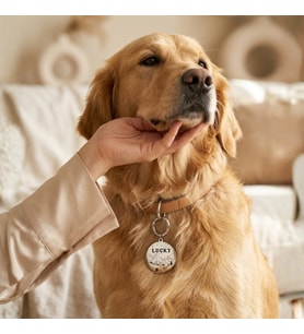 İsme Özel Çelik Köpek İsimlik Künyesi Manzara Gümüş