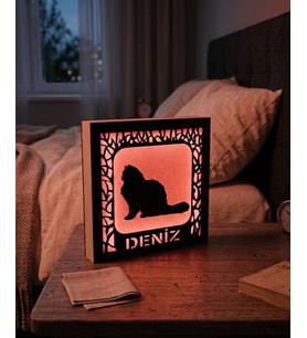 Kişiye Özel Kedi Figürlü Işıklı Dekoratif Gece Lambası
