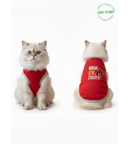 Dikkat Kedi Çıkabilir ! Yazılı Kırmızı Kedi ve Köpek Kıyafeti Elbisesi