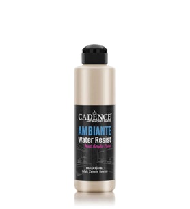 AMBIENTE SUYA DAY. MET. AKR. BOYA AWM-02 PLATİN 250ML + KATALİZÖR 10GR