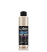 AMBIENTE SUYA DAY. MET. AKR. BOYA AWM-02 PLATİN 250ML + KATALİZÖR 10GR