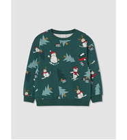 LCW Kids Yeşil Baskılı Erkek Çocuk Kalın Sweatshirt