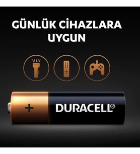 Lexroo AA Alkalin Kalem Pil 20'li Kartela