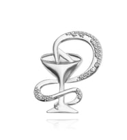 Eczacılık Sembolü Medikal Broş (Silver)
