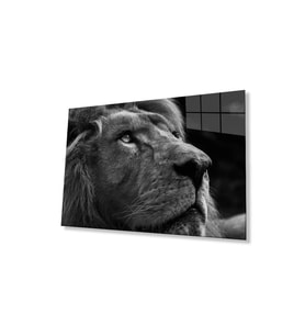 Aslan Cam Tablo 4mm Dayanıklı Temperli Cam (Çok Renkli)