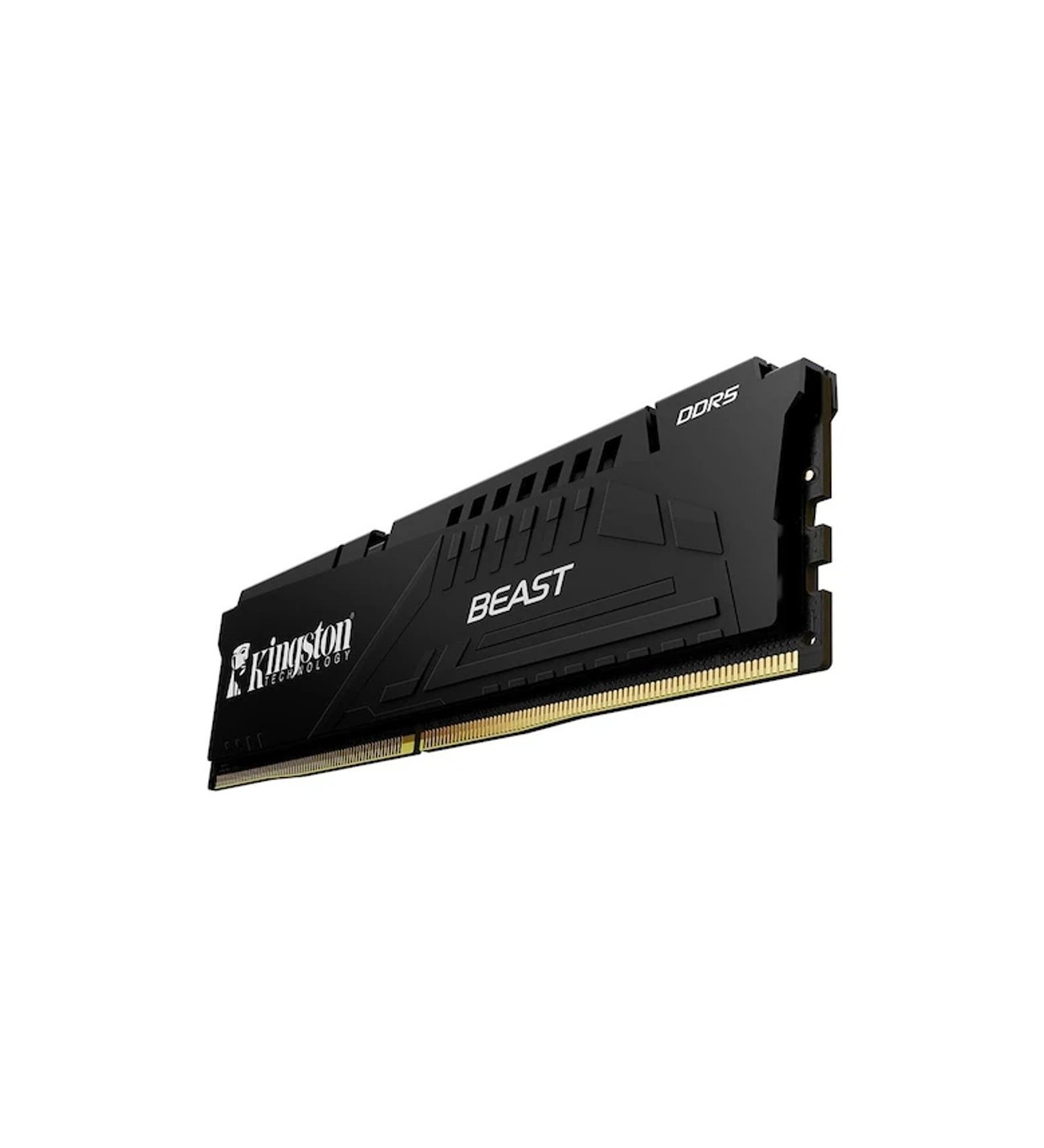 Kingston Beast EXPO/XMP 16GB (1x16) 5600Mhz CL36 DDR5 Ram