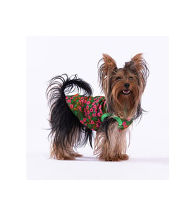 Pawstar Kedi ve KÜÇÜK Köpek T-Shirt Flower S Sırt24cm Göğüs37cm Boyun23cm