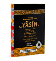 41 Yasin Türkçe Okunuşlu Mealli Kabe Desenli Orta Boy 128 Sayfa