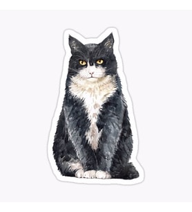 Araba Leptop için Kedi Oto Sticker Yapıştırması Etiket  17CM z6