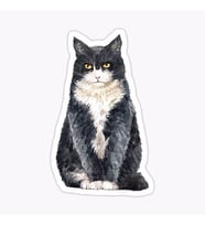 Araba Leptop için Kedi Oto Sticker Yapıştırması Etiket  17CM z6