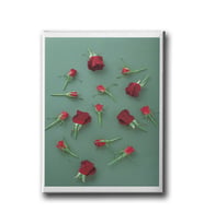 Gül Canvas Tablo MİND681