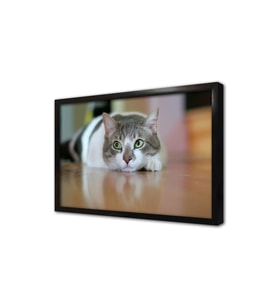 Kedi Çerçeveli Mdf Tablo