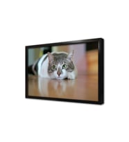 Kedi Çerçeveli Mdf Tablo