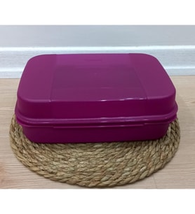 Tupperware Saklama Kutusu Büyük F20