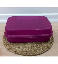 Tupperware Saklama Kutusu Büyük F20