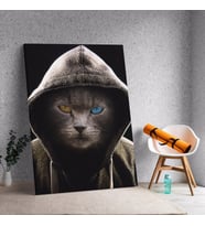 Renkli Gözlü Kapşonlu Kedi Adam Temalı Dekoratif Kanvas Tablo