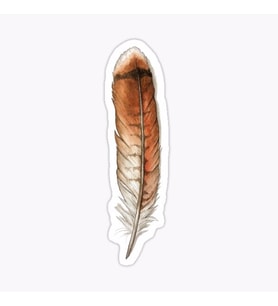 Araba için Kartal tüy Oto Sticker Yapıştırması Etiket  17CM
