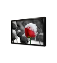 Karlanmış Çiçek Çerçeveli Mdf Tablo