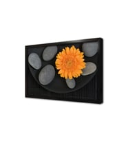 Turuncu Aster ve Spa Taşları Çerçeveli Cam Tablo