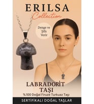 Sertifikalı Mantar Model Labradorit Taşı Kolye - Denge ve Şifa Veren Doğal Kolye (Çok Renkli)