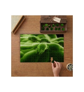 Bakteriler - Yakın Çekim Tasarımı 240 parça Ahşap Puzzle Ahşap Kutuda MP02540