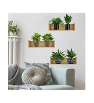 Raflı Bitki Tasarımlı Yapışkanlı Sticker 20*30 cm 3lü Set (5343)