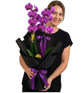 Black Buket Kağıtlı Saksıda Çiftli Mor Orkide