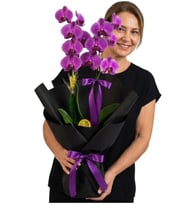 Black Buket Kağıtlı Saksıda Çiftli Mor Orkide