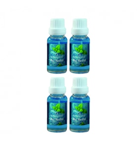 Buz Mentol 20 ml 4 Adet