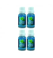 Buz Mentol 20 ml 4 Adet